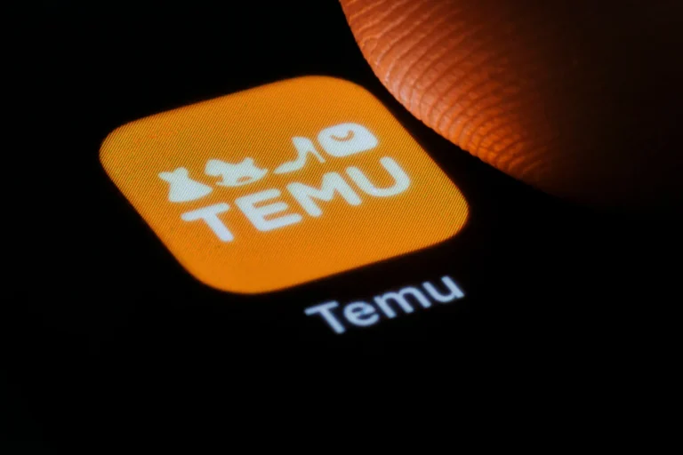 Temu Services USA: Welcoming Temu and How It Works